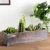 Import Rustic Brown Wood Nesting Succulent Planters Wooden Flower Pot from China