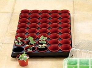 seed germination trays plastic nursery pots