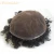 Import Shunfa Natural hairline Single Knot Thin Skin Poly Men Stock Unit Hair Pieces from China