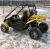 Import side by side 150cc 200cc 250cc 4 wheel buggy for adults from China