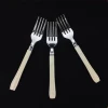 Silver Plastic Disposable Party Fork