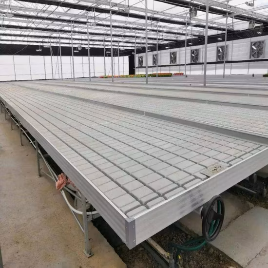 <span>Greenhouse Nursery Bed Galvanized Welded Wire Mesh Steel Seedbed Movable Rolling Bench</span>