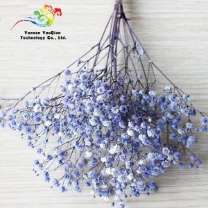 Super Natural  Long Lasting Popular Preserved Flower Gypsophila Baby Breath For Gifts &amp; Wedding Home Office Decoration