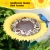 Import Supplies Sunflower Outdoor Ground Metal Stick Stand Bird Bath and Feeder from China