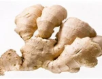 Supply Bulk Fresh Ginger, Bentong Ginger Fresh