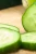 Import SUPPLY FRESH CUCUMBER WITH BEST PRICE AND HIGH QUALITY from USA