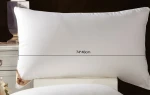 Taihu Snow Ultrasoft Silk Pillow OEKO-Certificate 100% Silk  filled Pillow