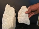 TAS Talc