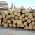 Import Teak Wood Logs from South Africa