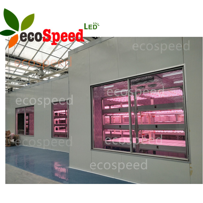 Container Vegetable Factory Buy Top Designed 40ft Hq Fresh Vegetables Growing Hydroponic Shipping ...