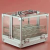 Transparent Plastic Organizer Box, Jewelry Storage Container, Clear Organizer Box with Adjustable Dividers