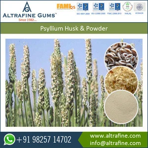True Dietary Fiber of Psyllium Husk Powder for Sale at Best Price