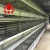 Import uae high quality egg collecting system poultry farm automatic hot dip galvanized chicken layers cage from China