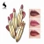Import UCANBE Brand Waterproof Longlasting Nature Matte Cream Color Luxury Crown Wand Gold Packing Lipstick from China