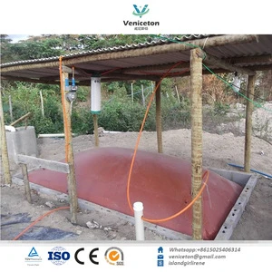 Veniceton 15m3 Portable medium size and large Biogas Assembled Digester for Pig Cow Farm Chicken