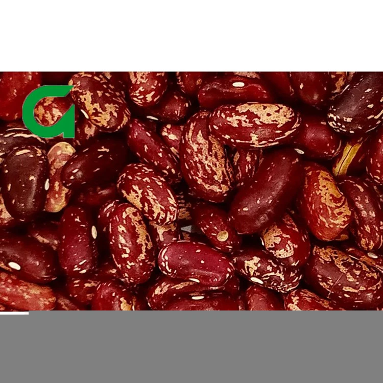 Vigna Type Dried Organic Red Speckled Kidney Beans