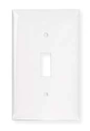Wall Plate Switch 1Gang White