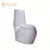 Import Water Closet, Colored Toilet Bowl, Two Piece toilet Suite from China