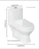 Wc Child Toilet School Project Toilet Baby One Piece Toilet Y1000 White Dual Flush Siphonic One-piece Wall Mounted Elongated YYU