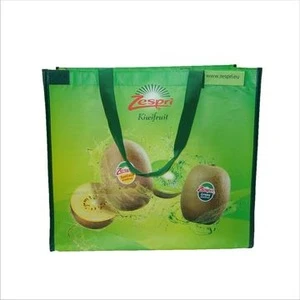 White PET with Matt Lamination Bag for Shopping Product Promotion Advertisement with Nylon handles