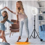 Wholesale 2700K-6500K Beauty 10 inch Photographic Selfie Led Ring Light With Tripod Stand For Live Stream Makeup Video