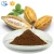 Import wholesale Cheap Pure Natural unsweetened Cocoa powder from China