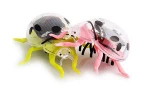 Wholesale Cute Mini Sunlight Power Car& Cockroach Solar Toy, Terrible Kid Sunlight Power Solar Toy, PVC Honey Bee Toys for kids