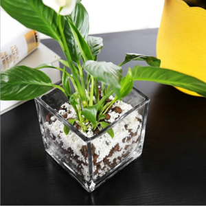 Wholesale Home Decoration Use Crystal Colored Clear Cube Glass Vases Cheap Price Square Shaped Vase