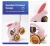 Import wholesale parent-child rabbit plastic hand push toy for baby play from China