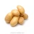 Import Wholesale price good supplier plenty exporting  fresh holland potatoes from China