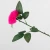 Wholesale real rabbit hair simulation rose home decor supplies water bottle beautiful rose flower