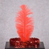Wholesale sequin hair band European and American ostrich feather hair accessories Indian feather hair band