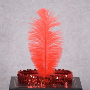 Wholesale sequin hair band European and American ostrich feather hair accessories Indian feather hair band