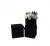 Import wholesale Stocked Velvet Square Flower Box Set With Lid from China