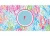 Import Wholesale Stylish Personalized Monogram Lilly Pulitzer License Plate from China