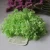 Import wholesale the Natural Preserved hydrangea flowers from China