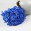 Yunnan Hot Sale Natural Preserved Flower Preserved Anna Hydrangea with Stem for Wedding Decoration