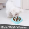 ZMaker Durable PP Non-Slip Pet Eating Slow Feeder Bowl Food Slow Dog Bowl