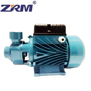 ZRM 0.5 Hp Electric Vortex Water Pump For Domestic Usage