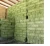 Import 100% Alfalfa Hay Animal Feed and Alfalfa hay pallets from Republic of Türkiye