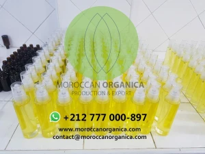 organic Prickly pear seed oil wholesale morocco