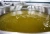 Import sunflower oil from Republic of Türkiye