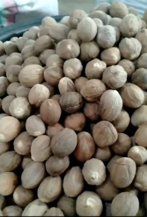 Indonesia Nutmeg