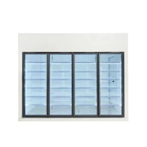Commercial Large Space Storage Walk-in Cold Storage Front Display of Goods Cold Storage Room