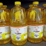 canola oil