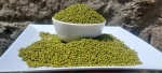 Green Mung Bean
