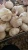 Import 2020new crop garlic normal white garlic from China