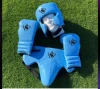 Boxing body protectors