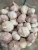Import 2020new crop garlic normal white garlic from China