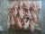 Import Grade "A" Frozen Chicken Feet / Frozen Chicken Paws / Halal Chicken Feet and Paws from South Africa